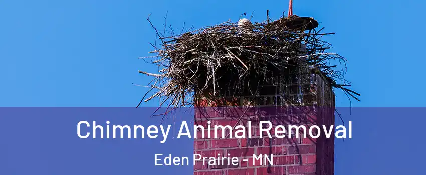 Chimney Animal Removal Eden Prairie - MN