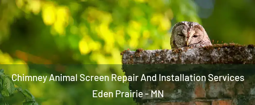  Chimney Animal Screen Repair And Installation Services Eden Prairie - MN