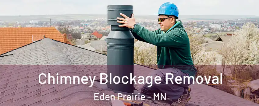  Chimney Blockage Removal Eden Prairie - MN