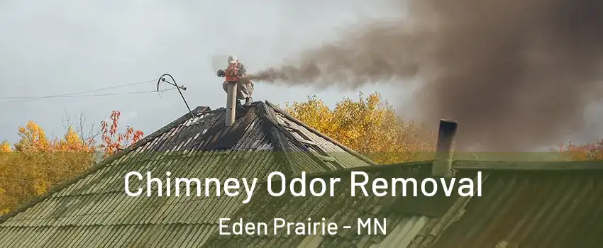  Chimney Odor Removal Eden Prairie - MN