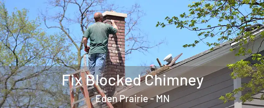  Fix Blocked Chimney Eden Prairie - MN
