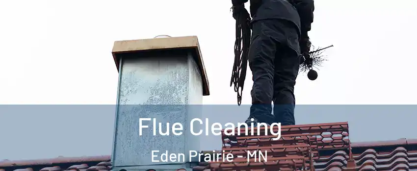  Flue Cleaning Eden Prairie - MN