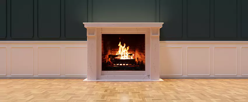 Napoleon Electric Fireplaces Inspection Service in Eden Prairie, Minnesota