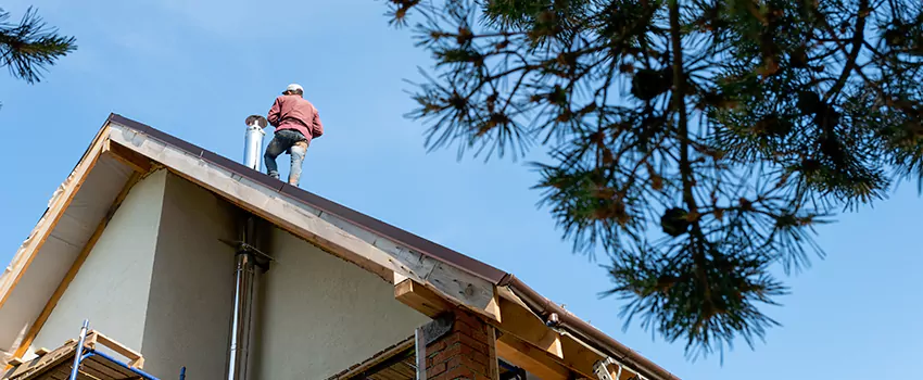 Birds Removal Contractors from Chimney in Eden Prairie, MN