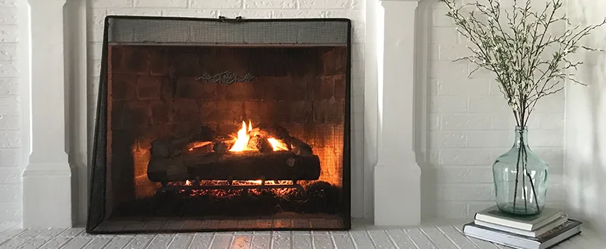 Cost-Effective Fireplace Mantel Inspection And Maintenance in Eden Prairie, MN