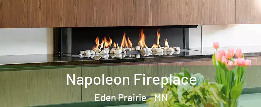  Napoleon Fireplace Eden Prairie - MN