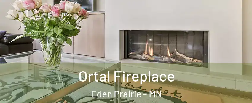 Ortal Fireplace Eden Prairie - MN