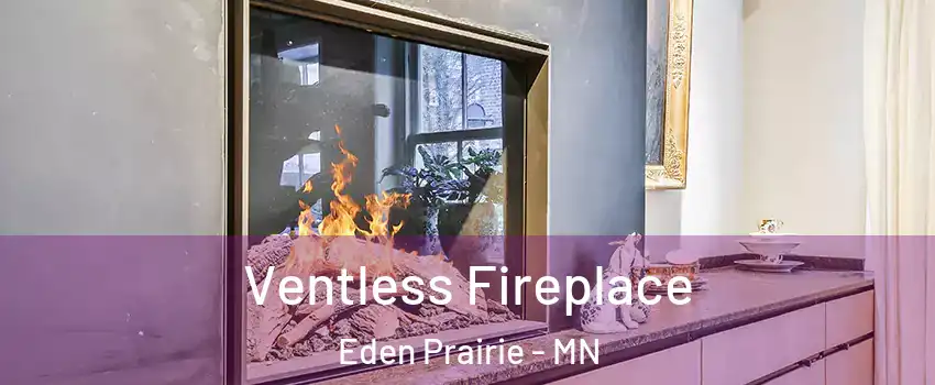  Ventless Fireplace Eden Prairie - MN